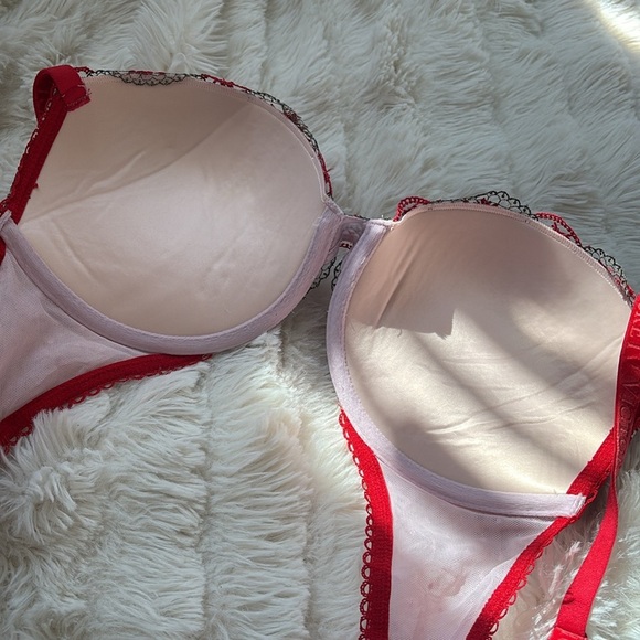 Victoria’s Secret 34D Push Up Bra Pink Red Floral Embroidered Lace Sexy Lingerie - Picture 3 of 8